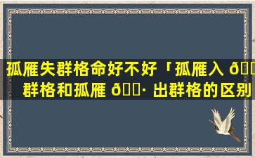 孤雁失群格命好不好「孤雁入 🐕 群格和孤雁 🕷 出群格的区别」